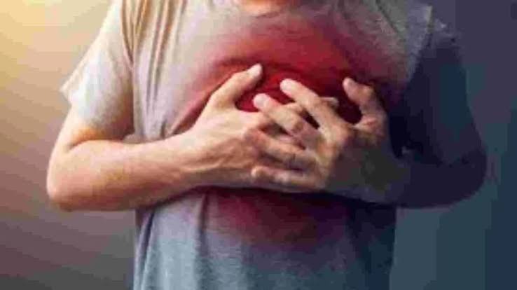 Health Tips: వెల్లుల్లితో గుండె పదిలం.. కొలెస్ట్రాల్కి చెక్ పెట్టే సహజ ఔషధం!