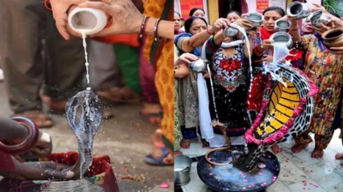 Naga panchami: నాగ పంచమి వేళ పుట్టలో పాలు ఎందుకు పోస్తారు? దీని వెనుక ఉన్న ఆధ్యాత్మిక కథ మరియు శాస్త్రీయ విశేషాలు!