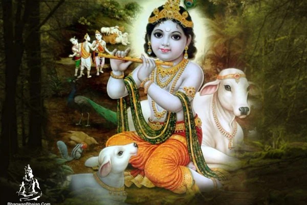 శ్రీకృష్ణ జన్మాష్టమి విశిష్టత: 108 దివ్య నామాలు, పూజా విధానం మరియు అద్భుత ప్రయోజనాలు!